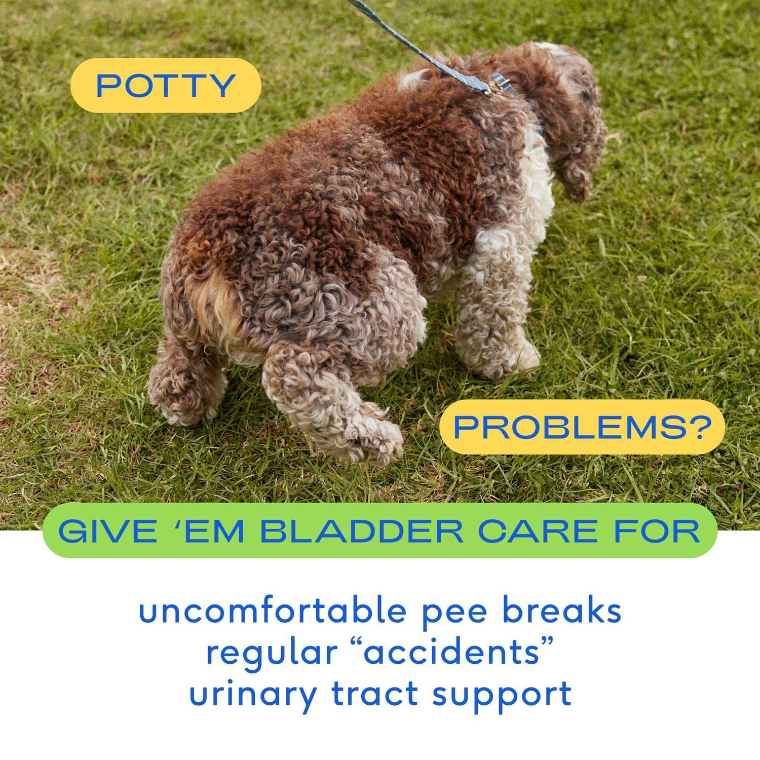 Native Pet Air Dried Dog Chews Bladder