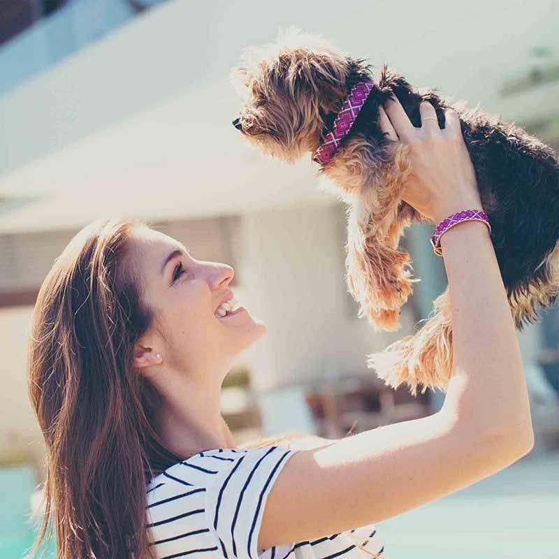 FriendshipCollar Mucky Pup Dog Collar with Friendship Bracelet