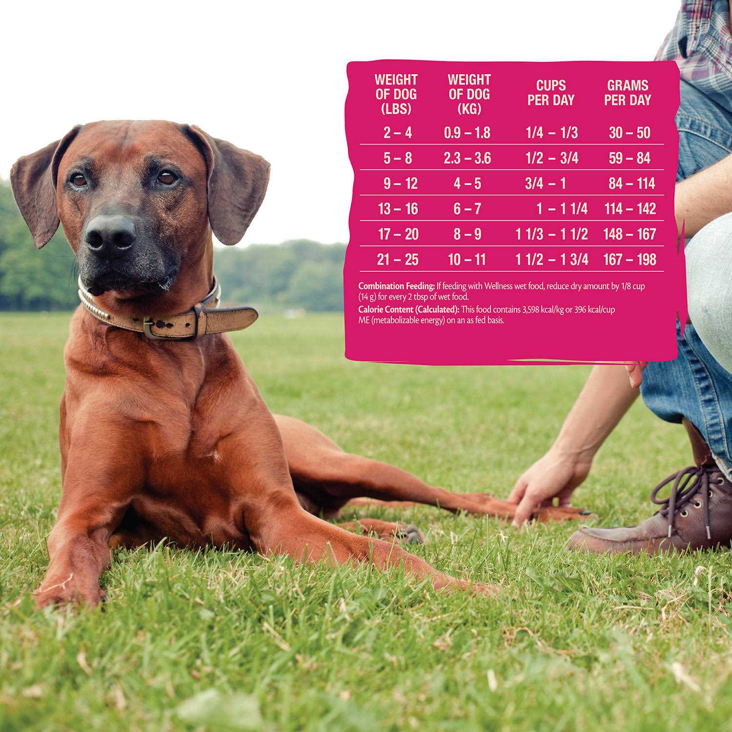 Wellness CORE Grain-Free Small Breed Dry Dog Food