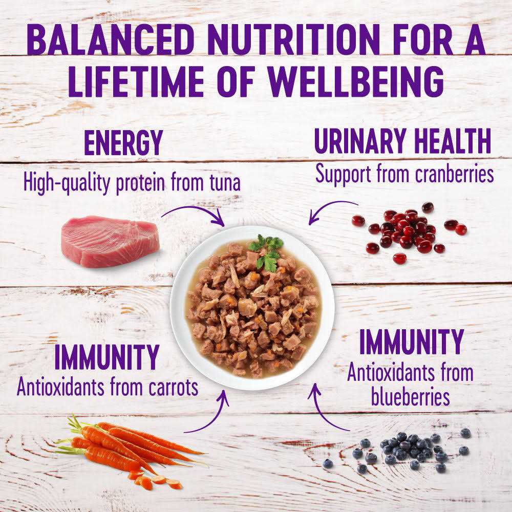 Wellness Healthy Indulgence Natural Grain Free Gravies and Gravy Cat Food Pouch