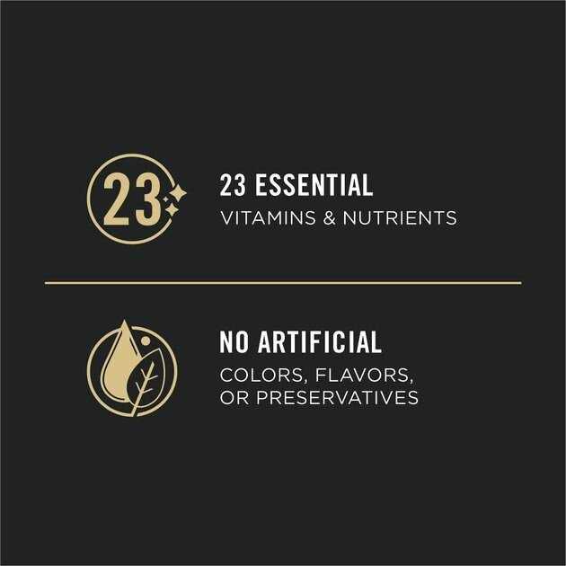 Pro Plan Purina Sport High Protein Wet Dog Food