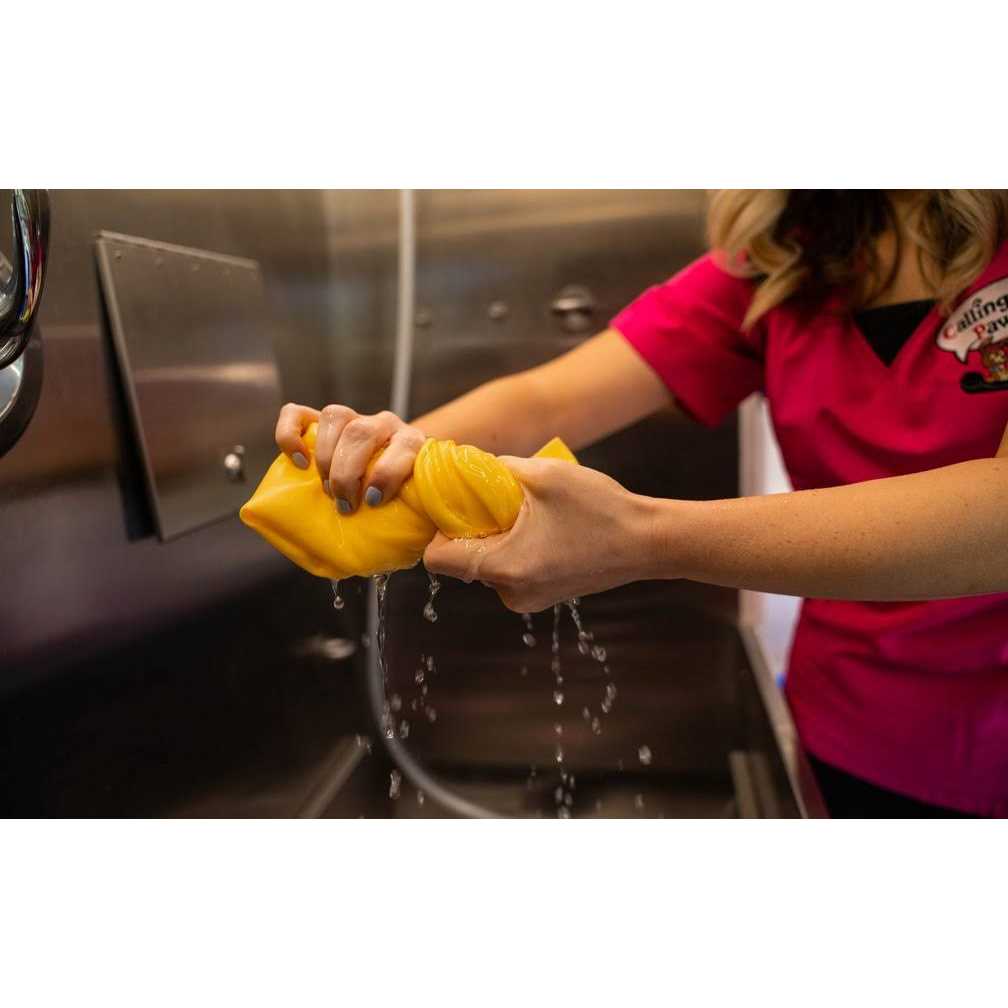 The Absorber Dog Lover’s Towel