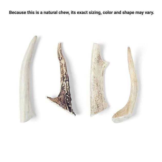 Bones & Chews Made in USA Deer Antler Dog Chew