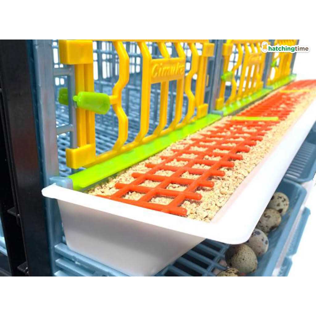 Hatching Time Partridge Cage 1 Layer