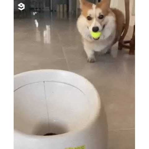 ENIGETA Rechargeable Tennis Ball Launcher for Dogs Elevating Playtime for You and Your Pup