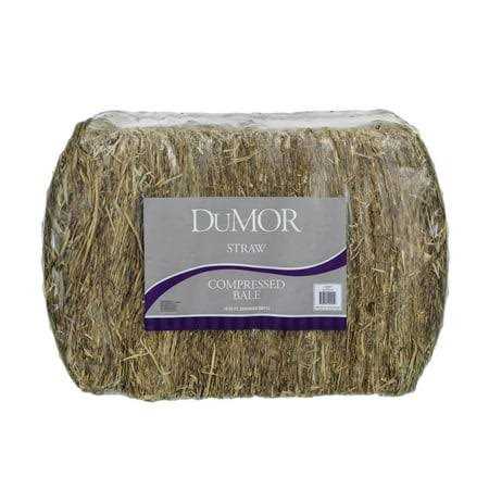 Dumor 2-String Wheat Straw Compressed Bale Pet Bedding
