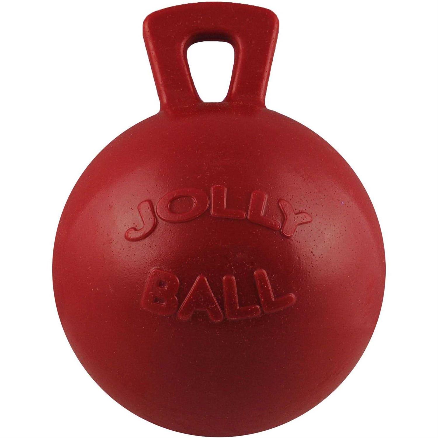 Jolly Pets Dual Jolly Ball