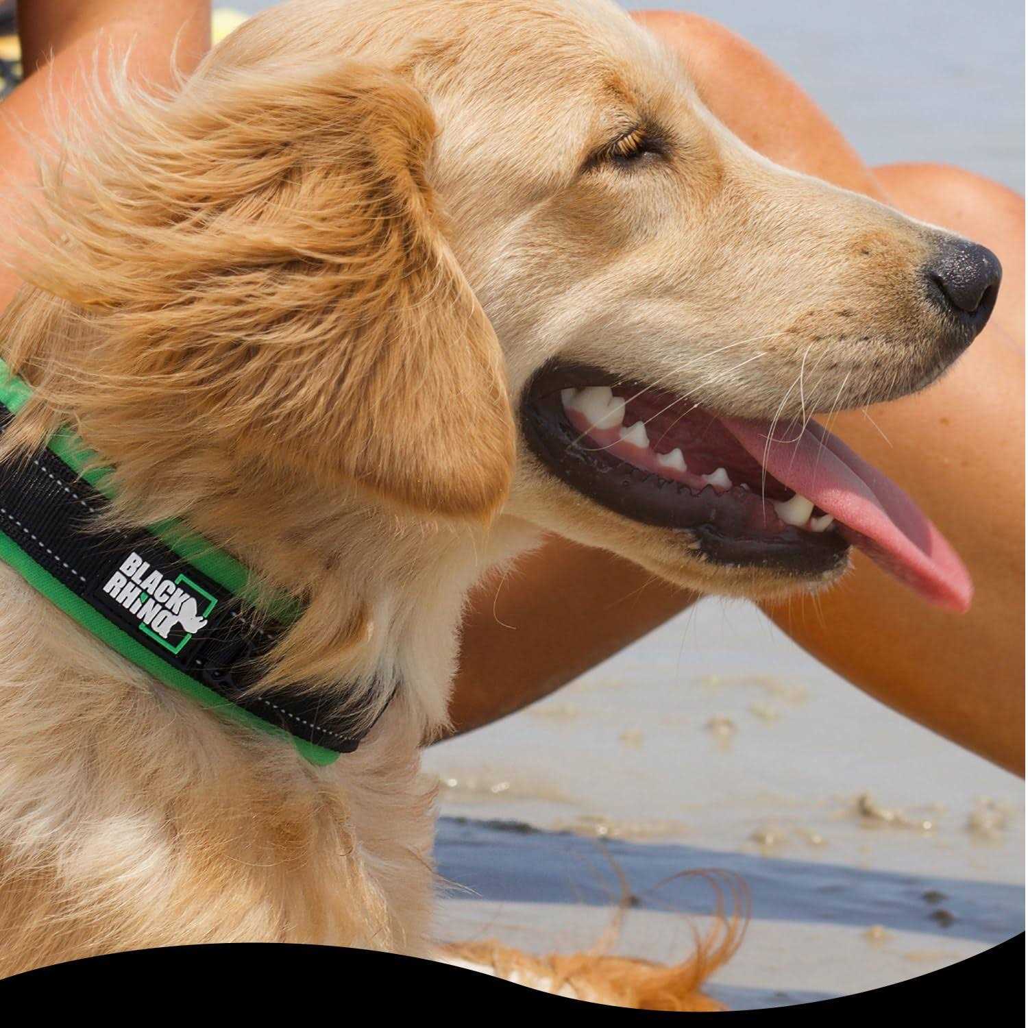 Black Rhino The Comfort Collar Ultra Soft Neoprene Padded Dog Collar for All Breeds