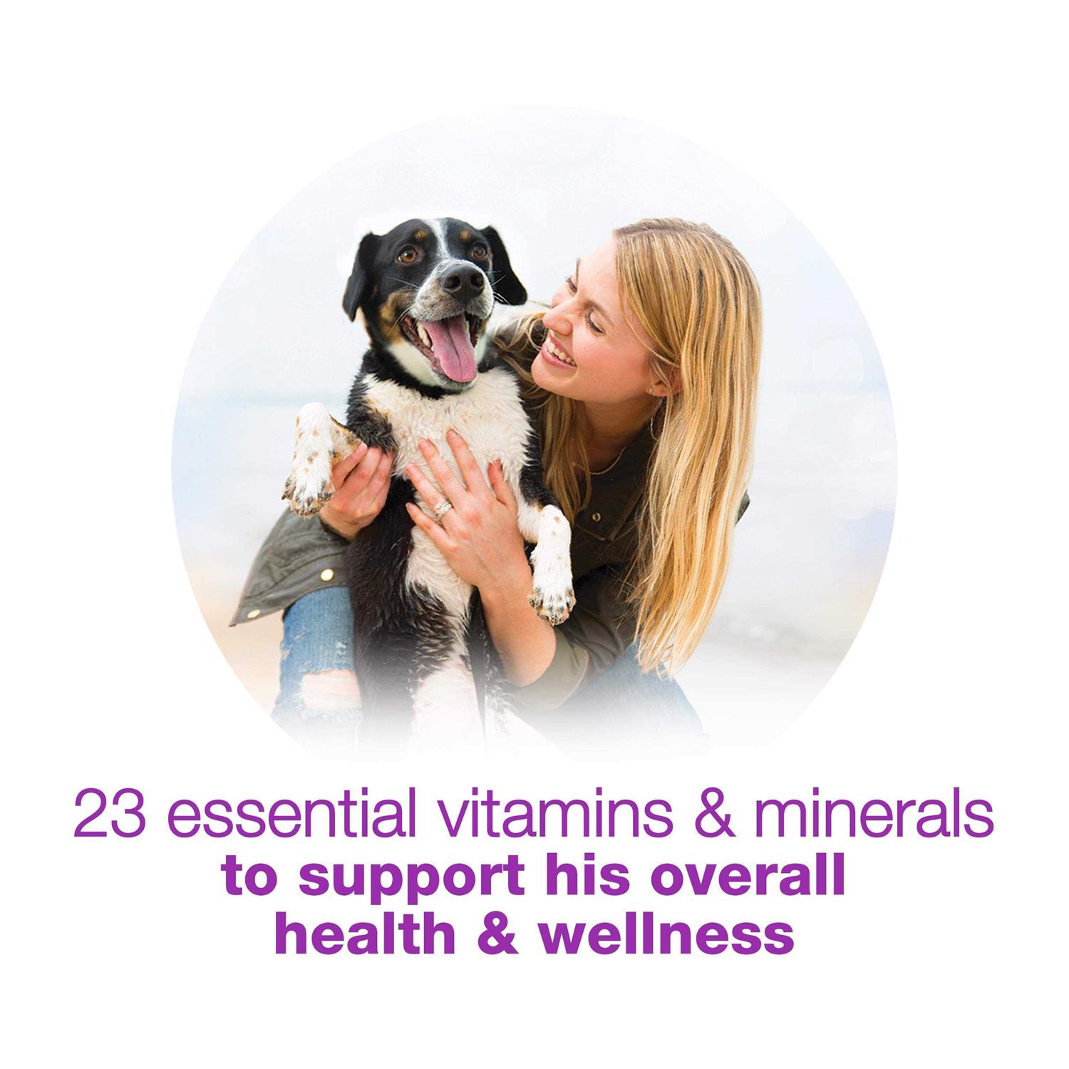 Purina Beneful Chopped Blends With Chicken Carrots Peas & Wild Rice Wet Dog Food