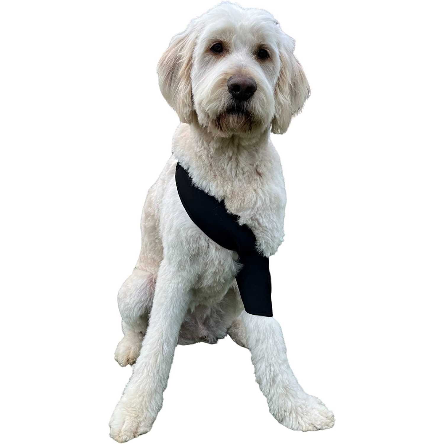 Labra Canine Shoulder Elbow Brace Leg Dog Wrap