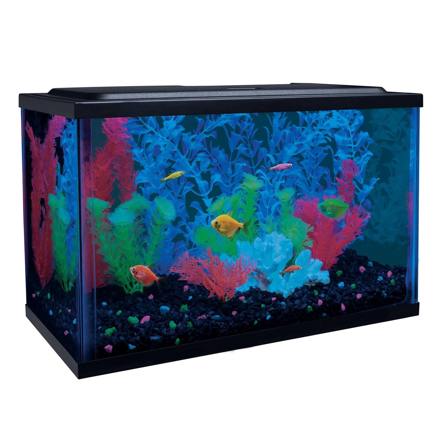 GloFish 5-Gallon Aquarium Kit with LED Tetra Whisper Filter