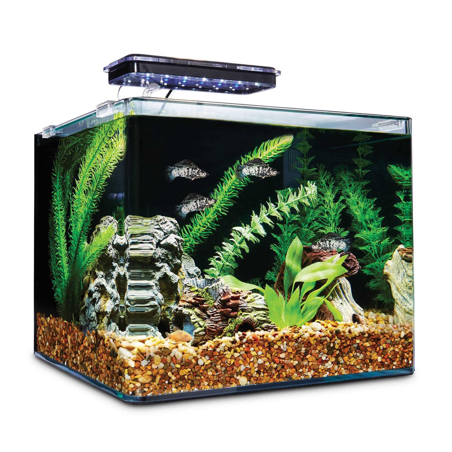 Imagitarium Frameless Freshwater Aquarium Kit