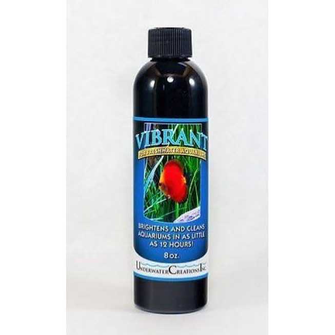 Vibrant For Saltwater Aquariums