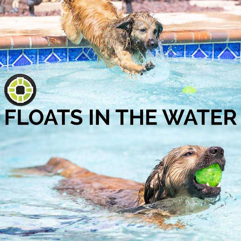 Hyper Pet Dura-Squeaks Dog Toy Ball