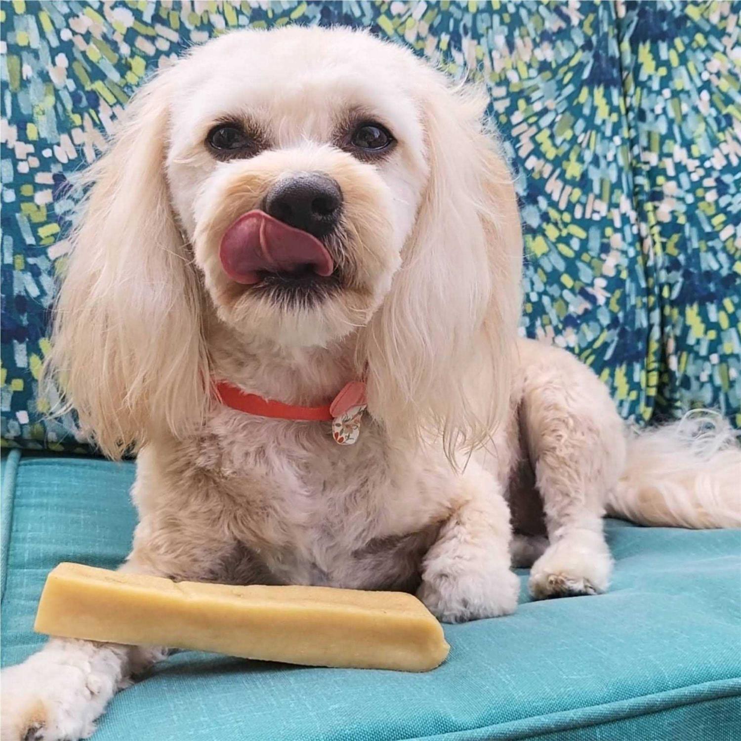 Paw Love Cheesy Dog Chew