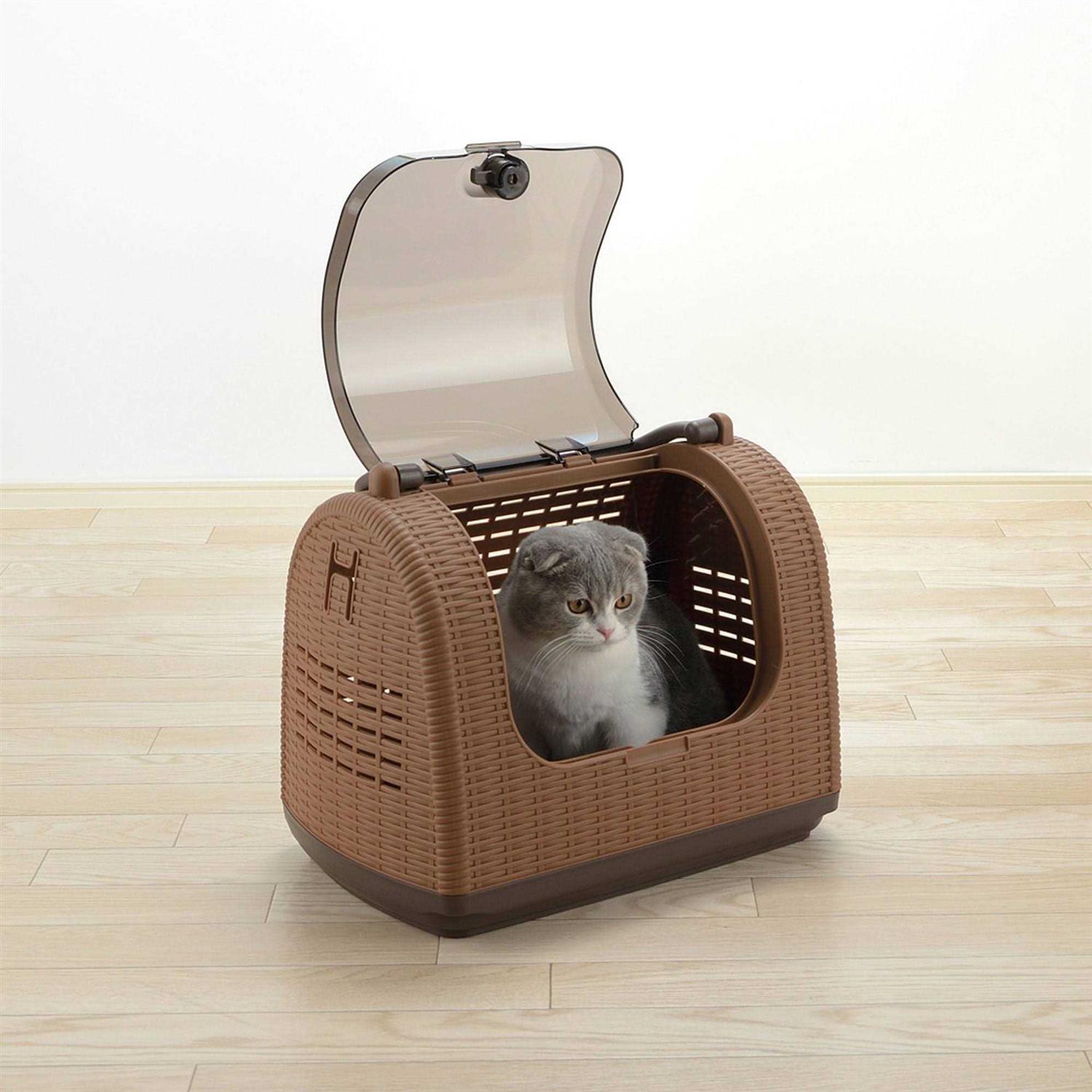 Richell Faux Wicker Pet Carrier