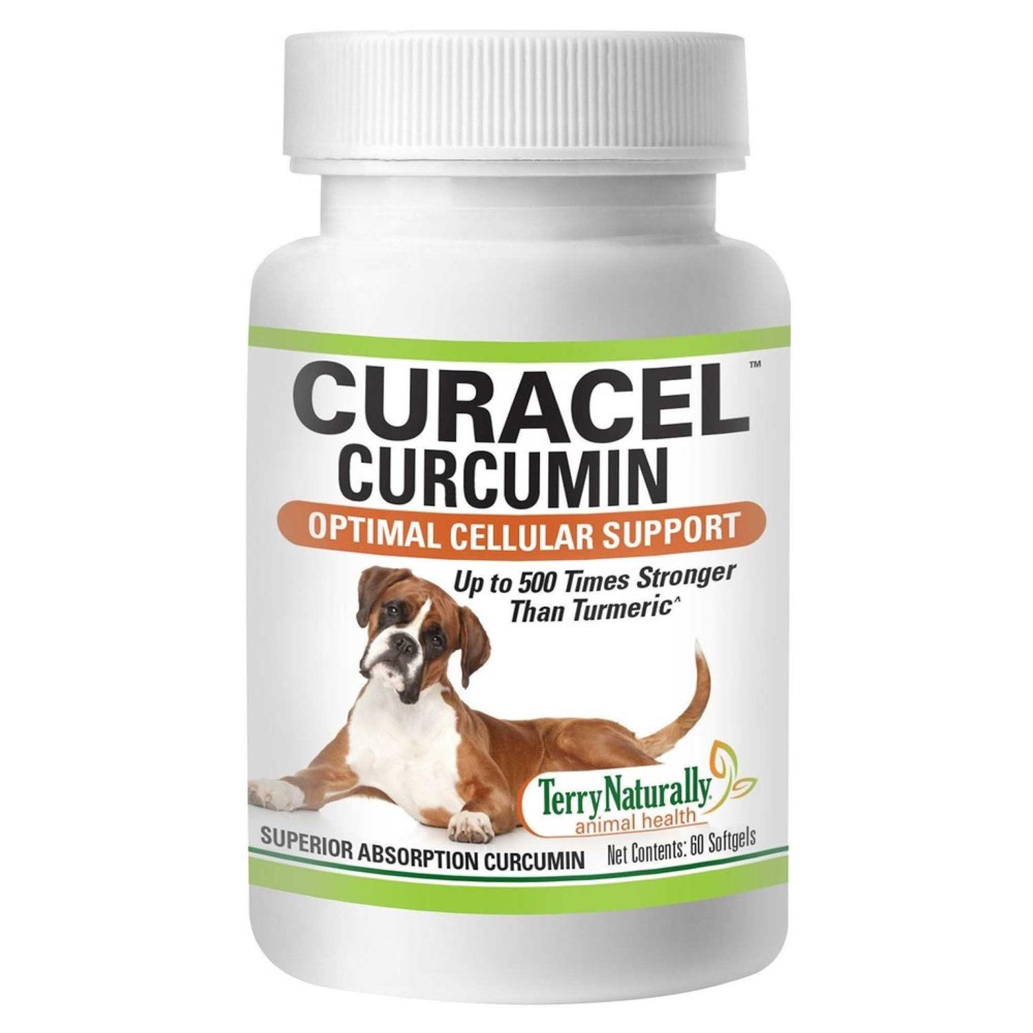 Terry Naturally Curacel Curcumin