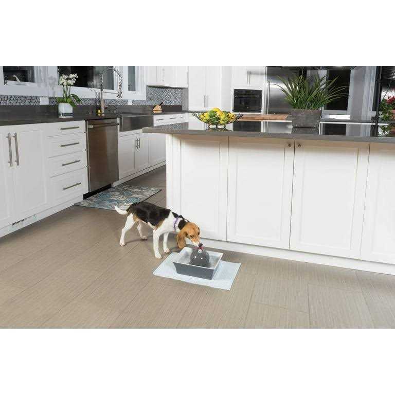 PetSafe Drinkwell Seascape Pet Fountain