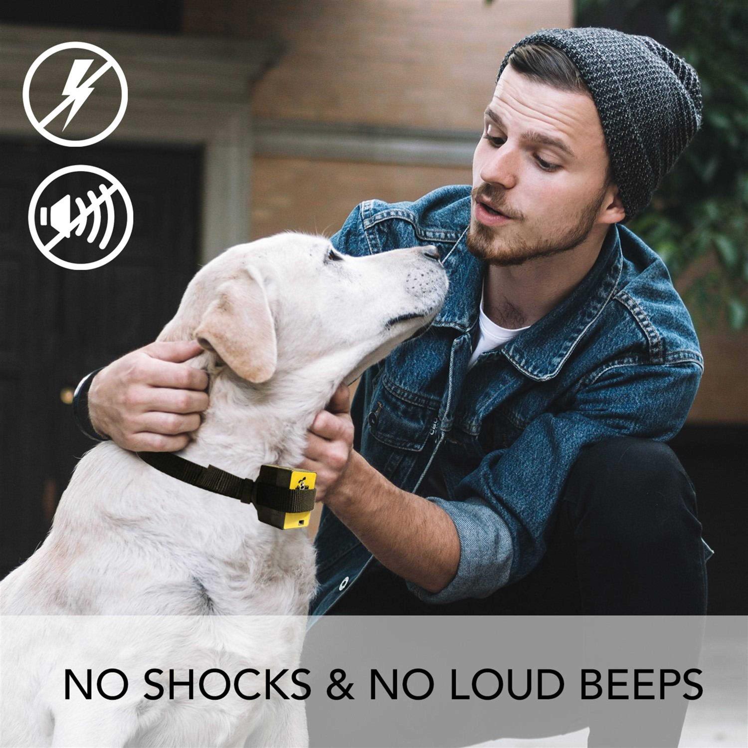 Downtown Pet Supply Citronella Bark Collar