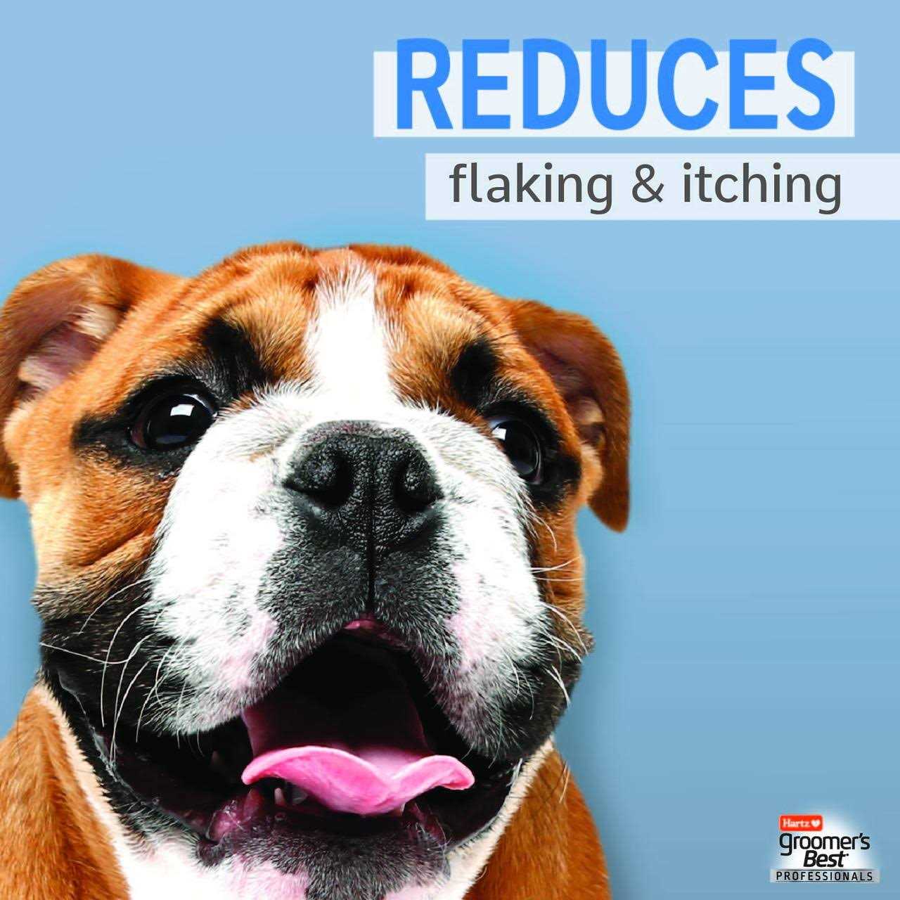 Hartz Groomer’s Best Professionals Anti-Dandruff Shampoo