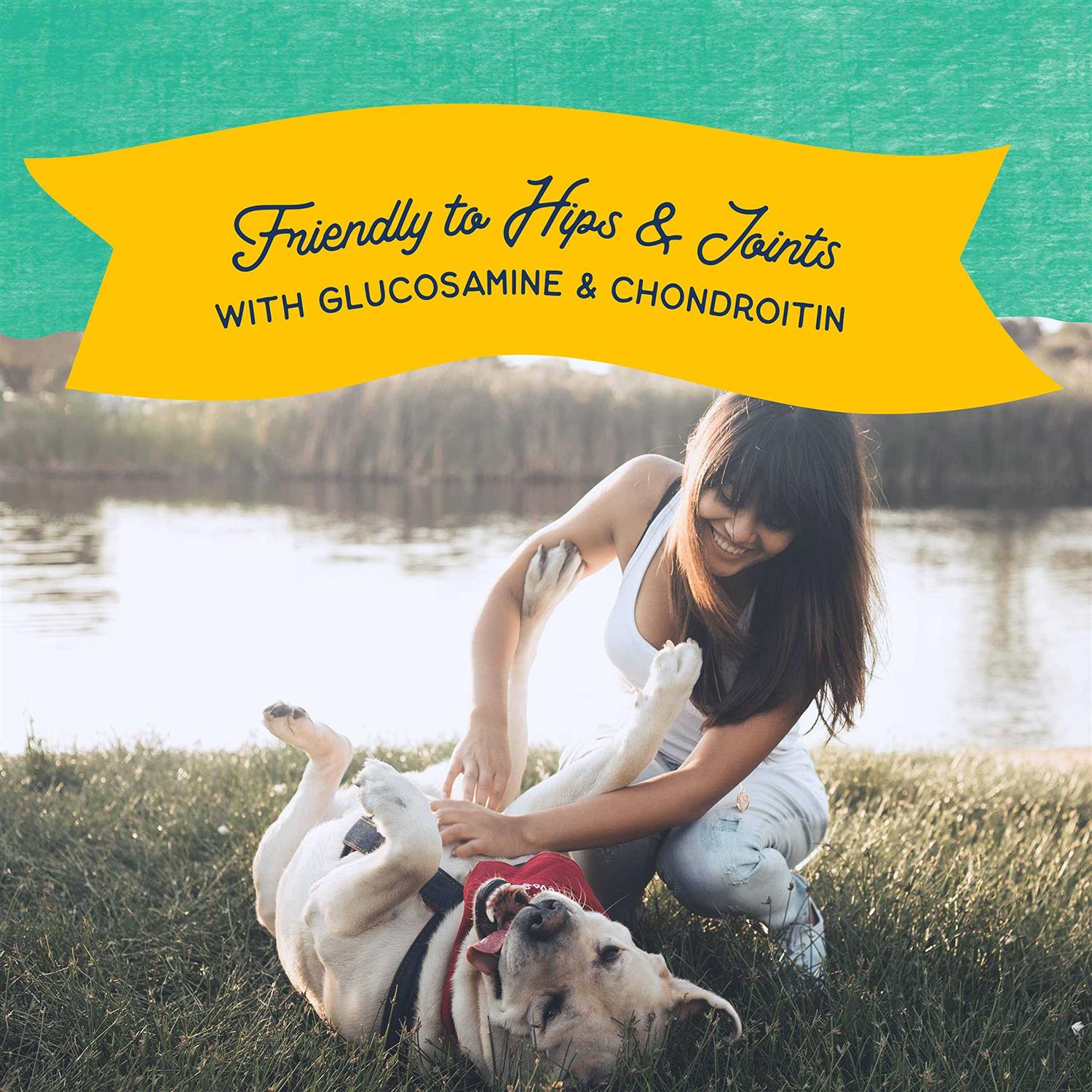 Natural Balance Rewards Jumpin’ Stix Dog Treats