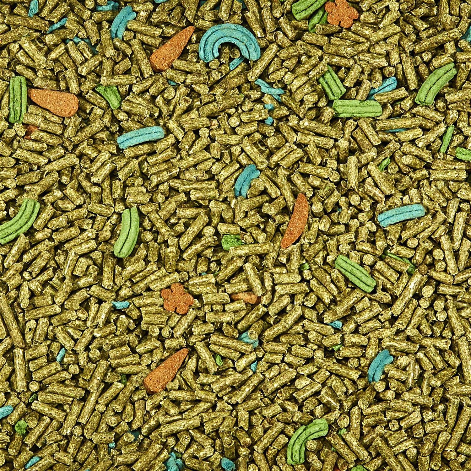 Kaytee Forti Diet Pro Health Adult Rabbit Food