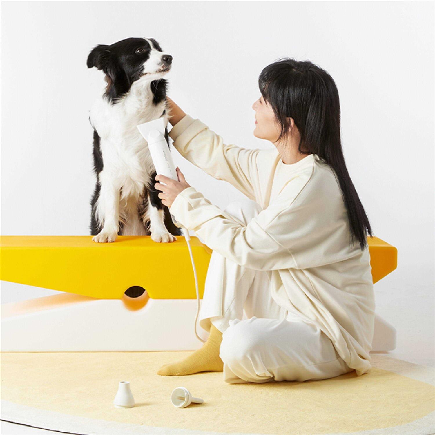 F1 Pet Dryer Neakasa