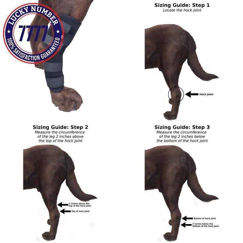 Labra Dog Extra Supportive Canine Rear Leg Hock Joint Compression Wrap and and