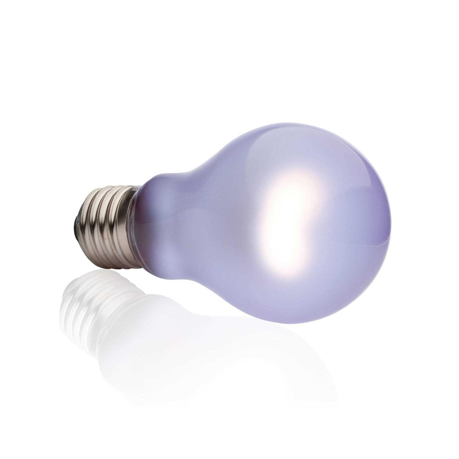 Exo Terra Daytime Heat Lamp