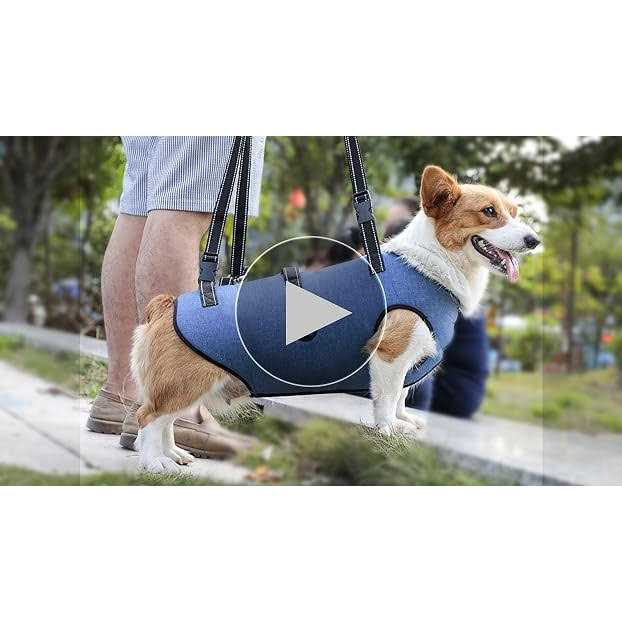 Coodeo Dog Lift Harness Support & Recovery Sling Pet Rehabilitation Lifts Vest Adjustable Breathable Straps for Old