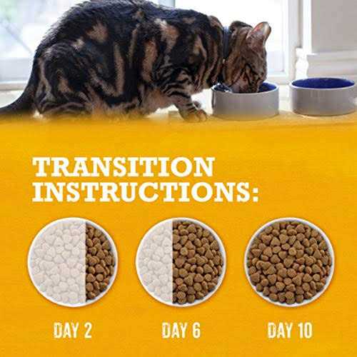 Purina Beyond Grain Free White Meat Chicken & Egg Recipe Natural Dry Cat Food