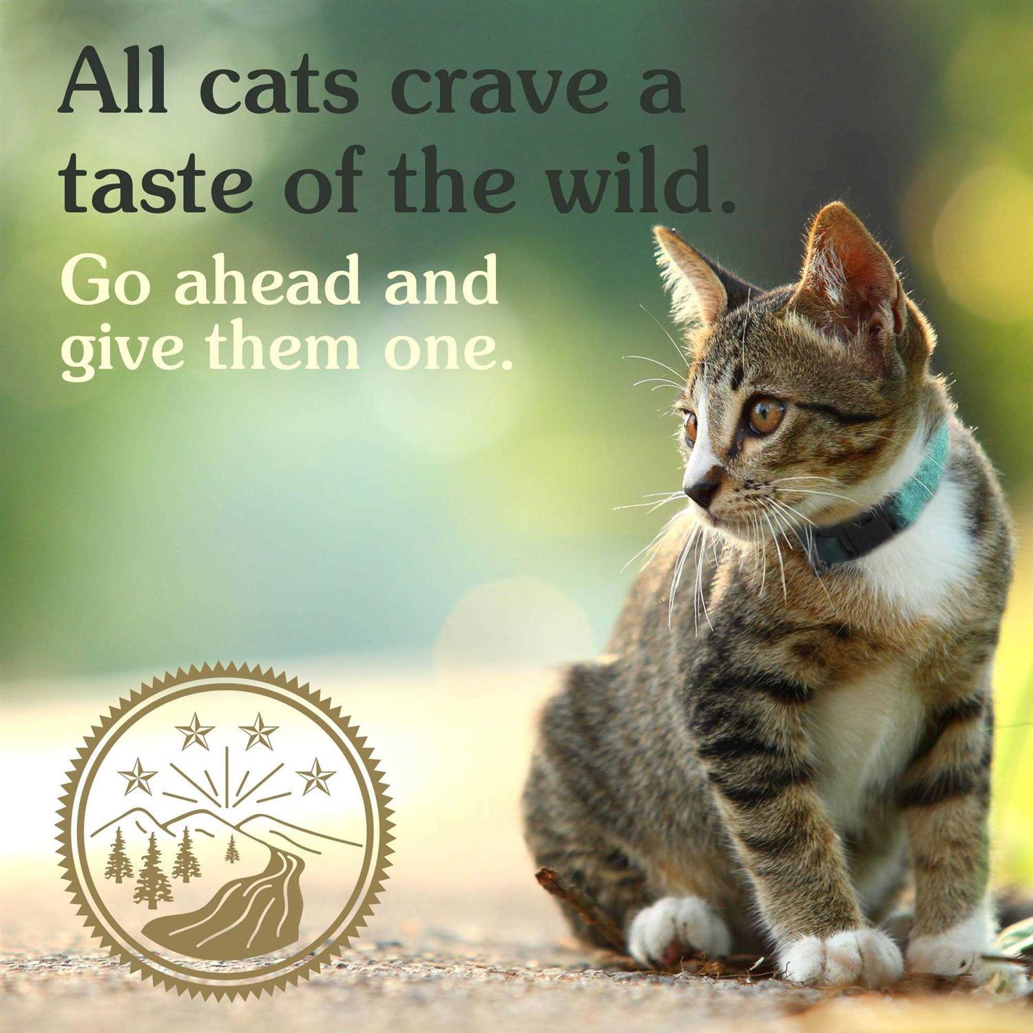 Taste of the Wild Canyon River Feline Dry Food