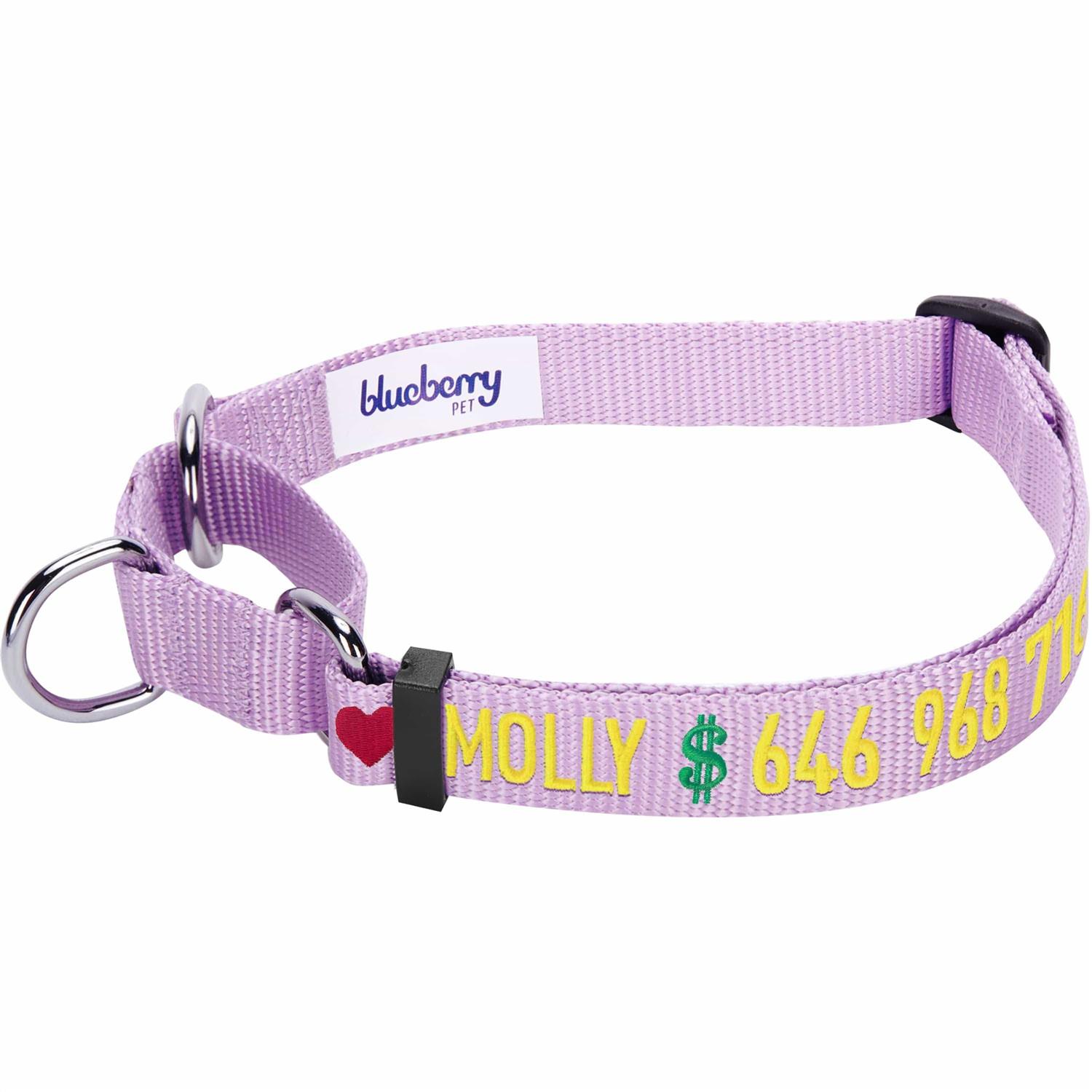 Blueberry Pet Martingale Safety Training Dog Collar