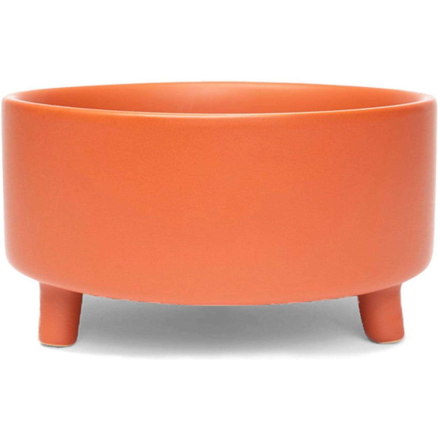 Waggo Uplift Ceramic Dog Bowl