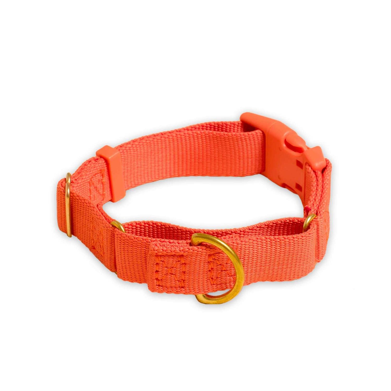 Awoo Marty Martingale Dog Collar