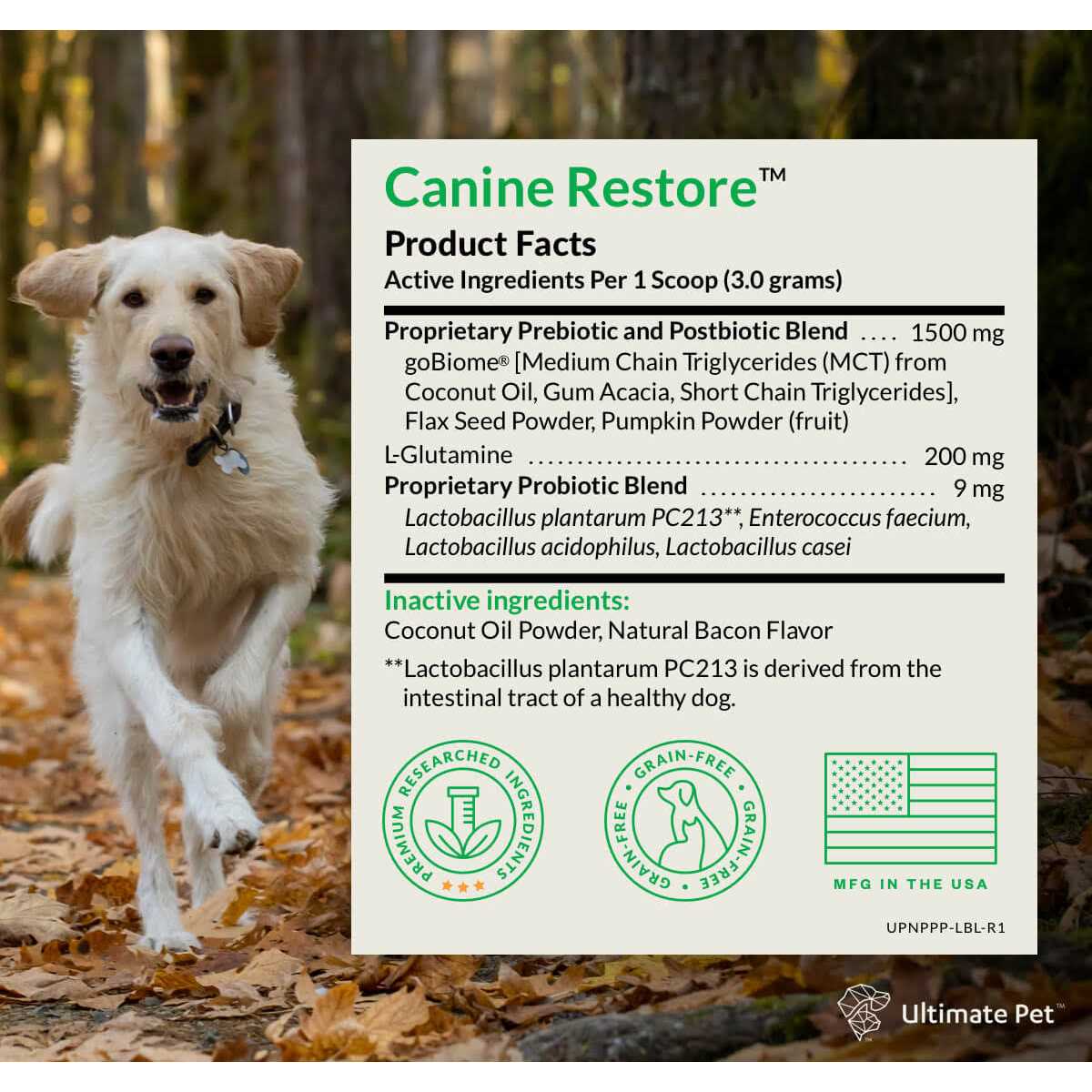 Ultimate Pet Nutrition Canine Restore Pre, Pro, and Postbiotic Digestive Support Powder for Dogs 3.17 oz