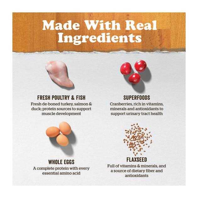 Now Fresh Grain-Free Adult Dry Cat Food