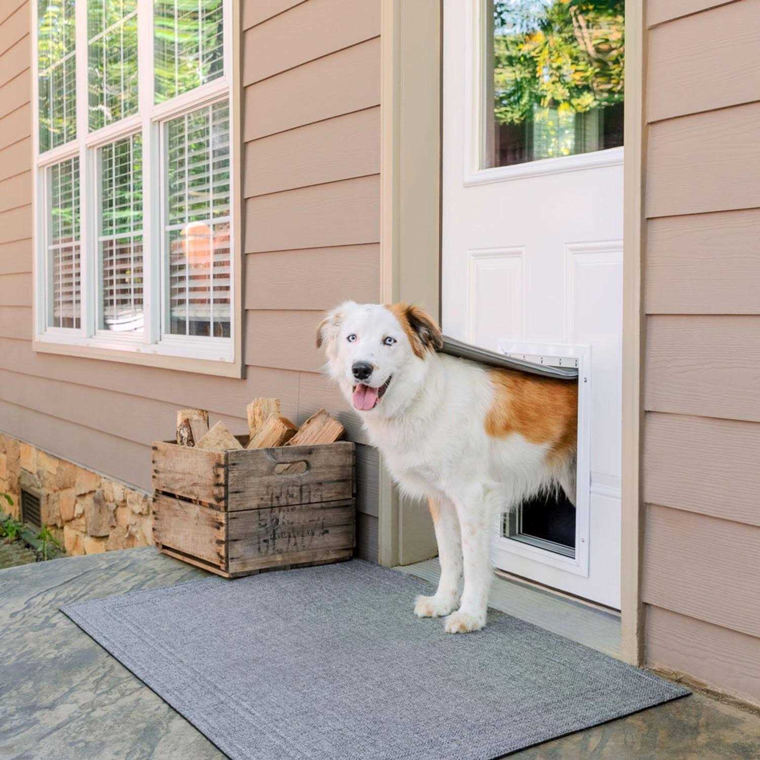 Extreme Weather Aluminum Pet Door PetSafe
