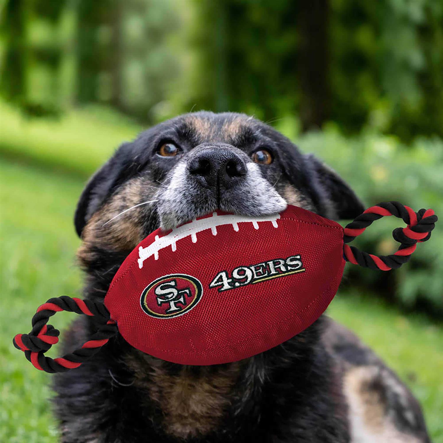 San Francisco 49ers Nylon Football