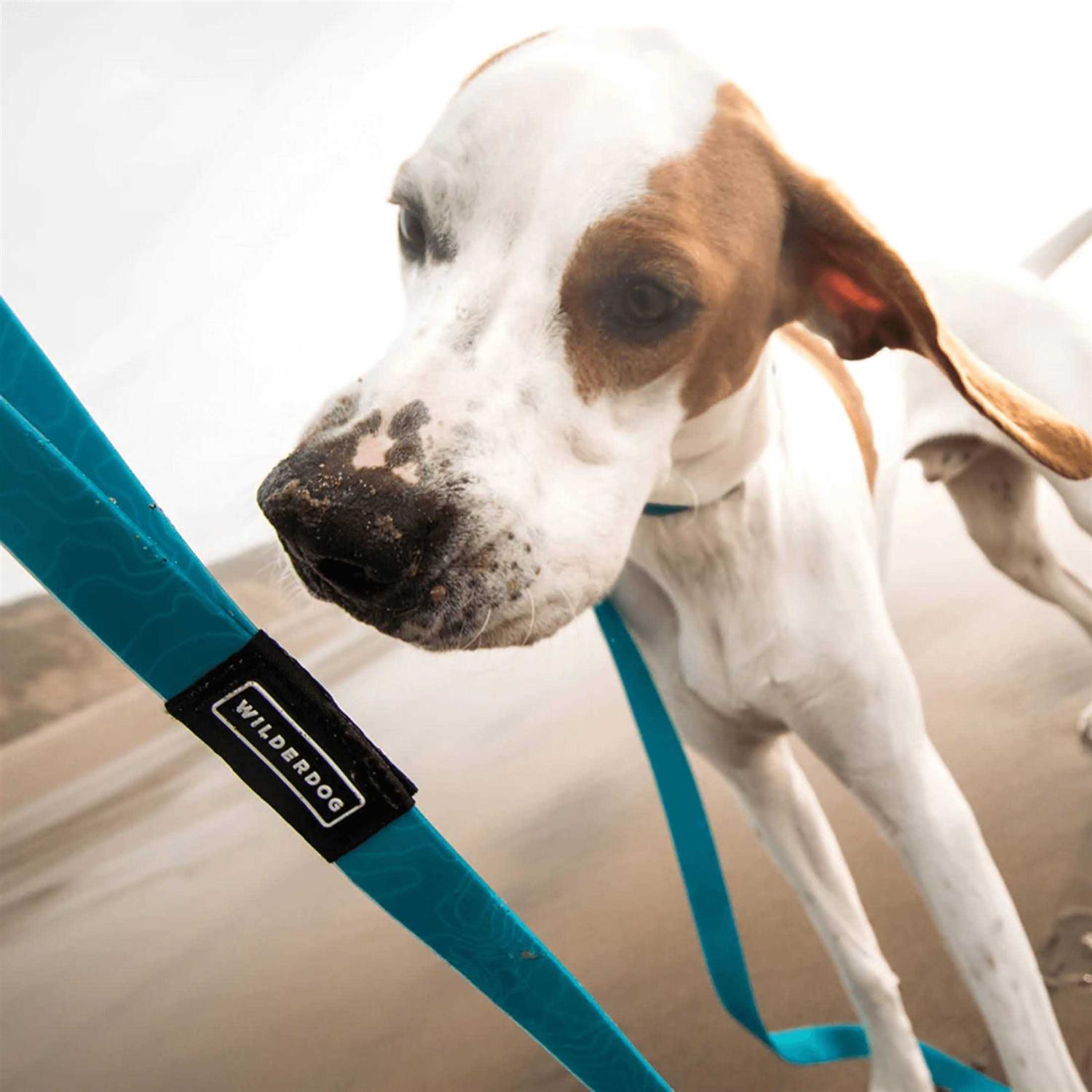 Wilderdog Waterproof Leash