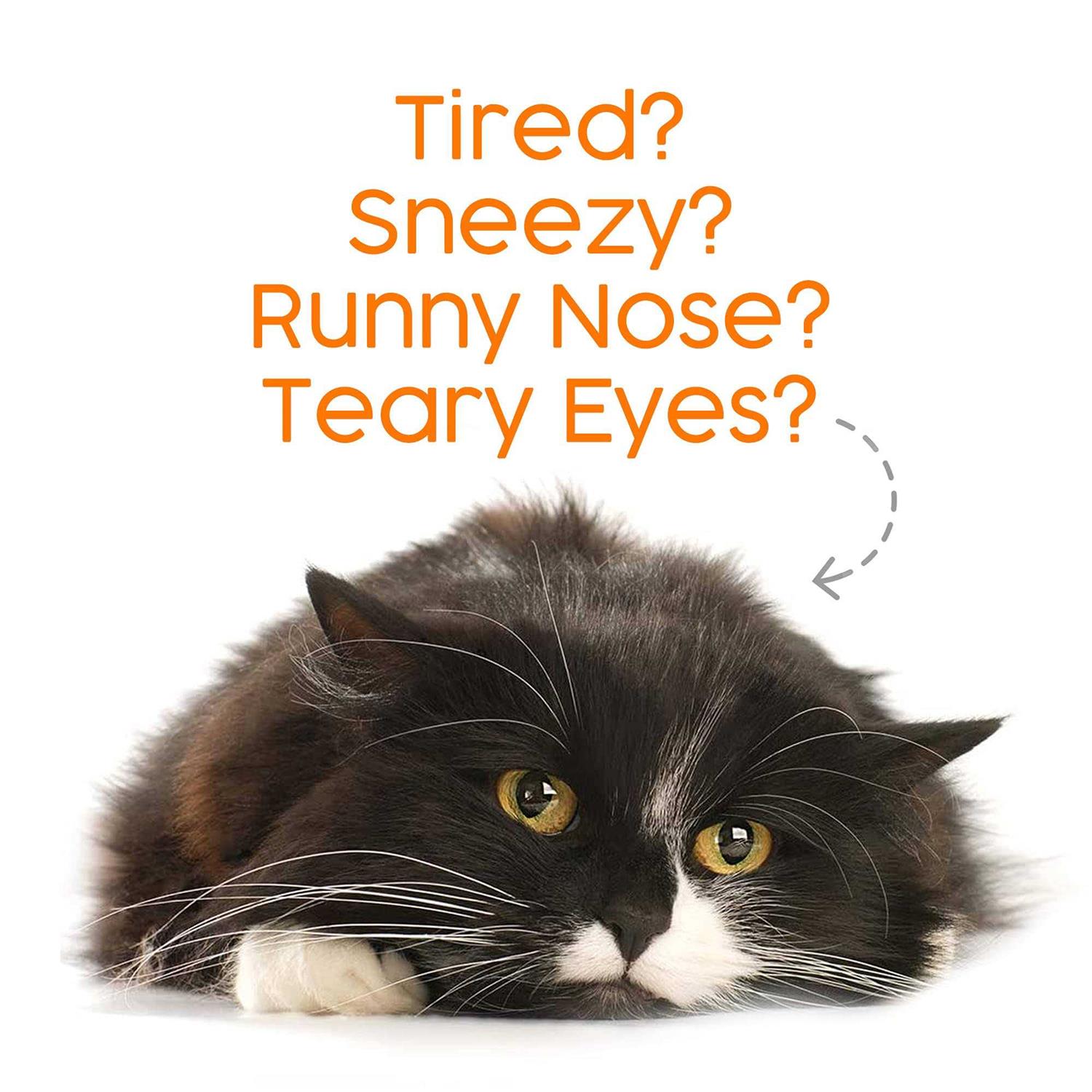 Alpha Paw Human Grade for Pets Cat Lysine Supplement