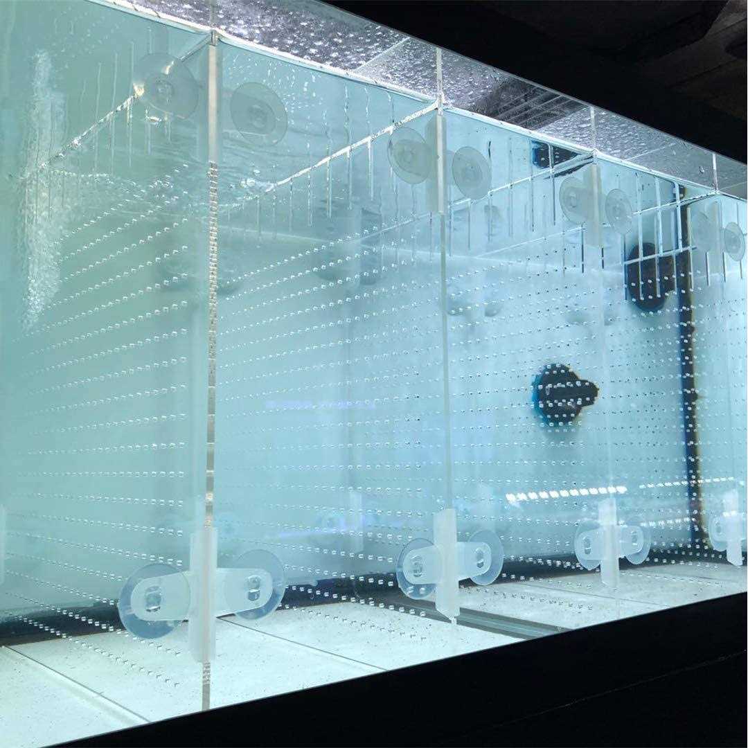 RA AquaTech Acrylic Aquarium Divider Kit 20L 20H 29 40B 125gal Fish Tank with Suction Cups