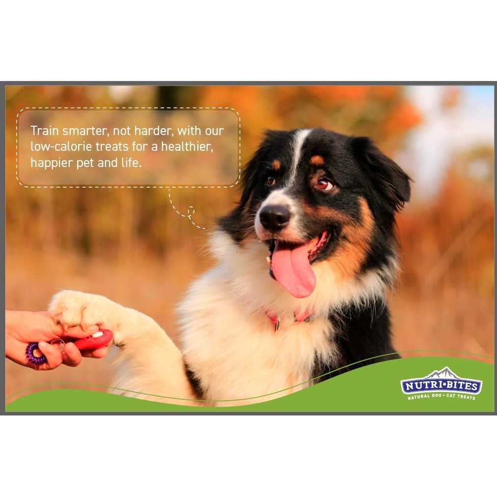 nutri bites freeze dried salmon pets treats rich in protein and omega-3 premium quality 14 oz for dogs and cats