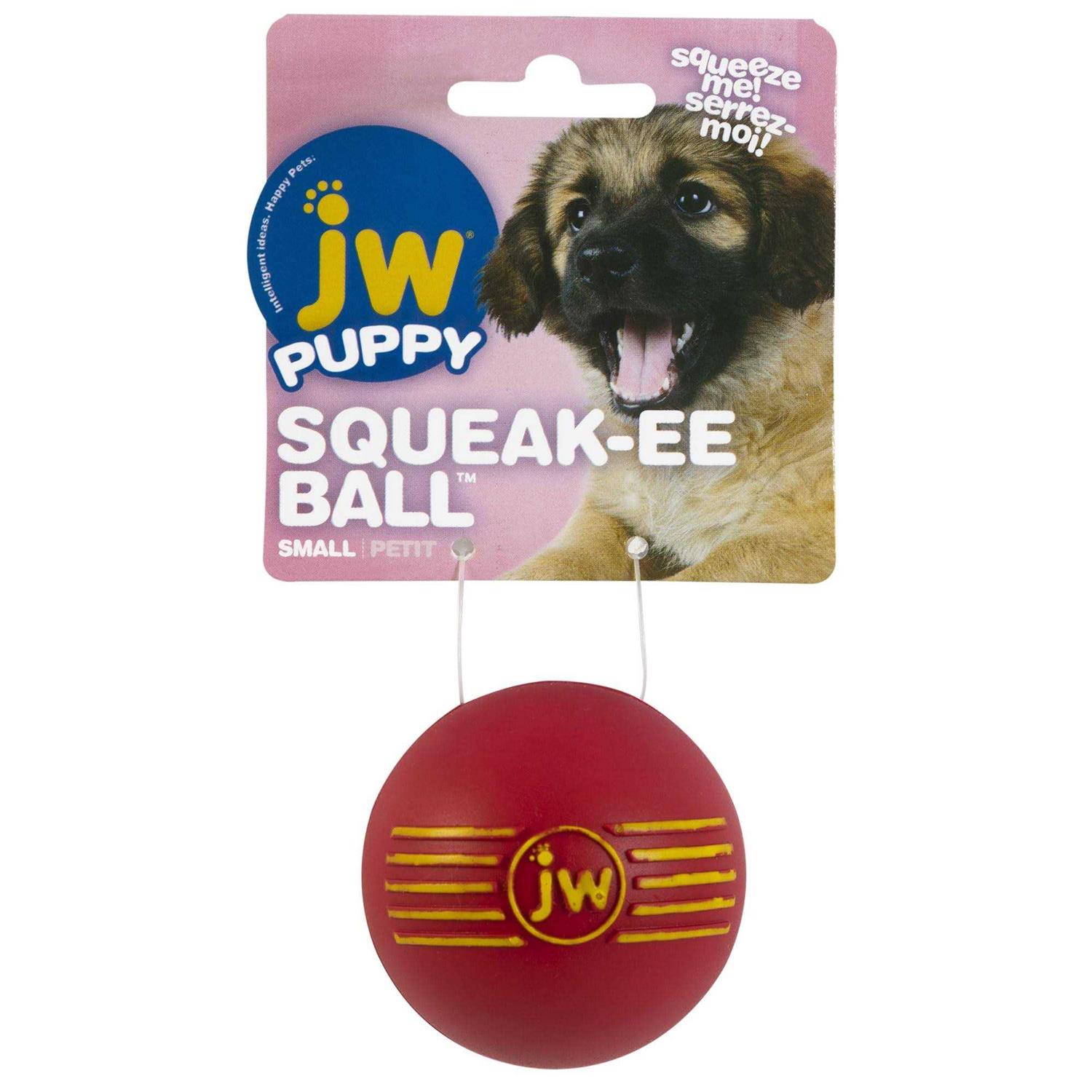 JW Pet iSqueak Ball Dog Toy