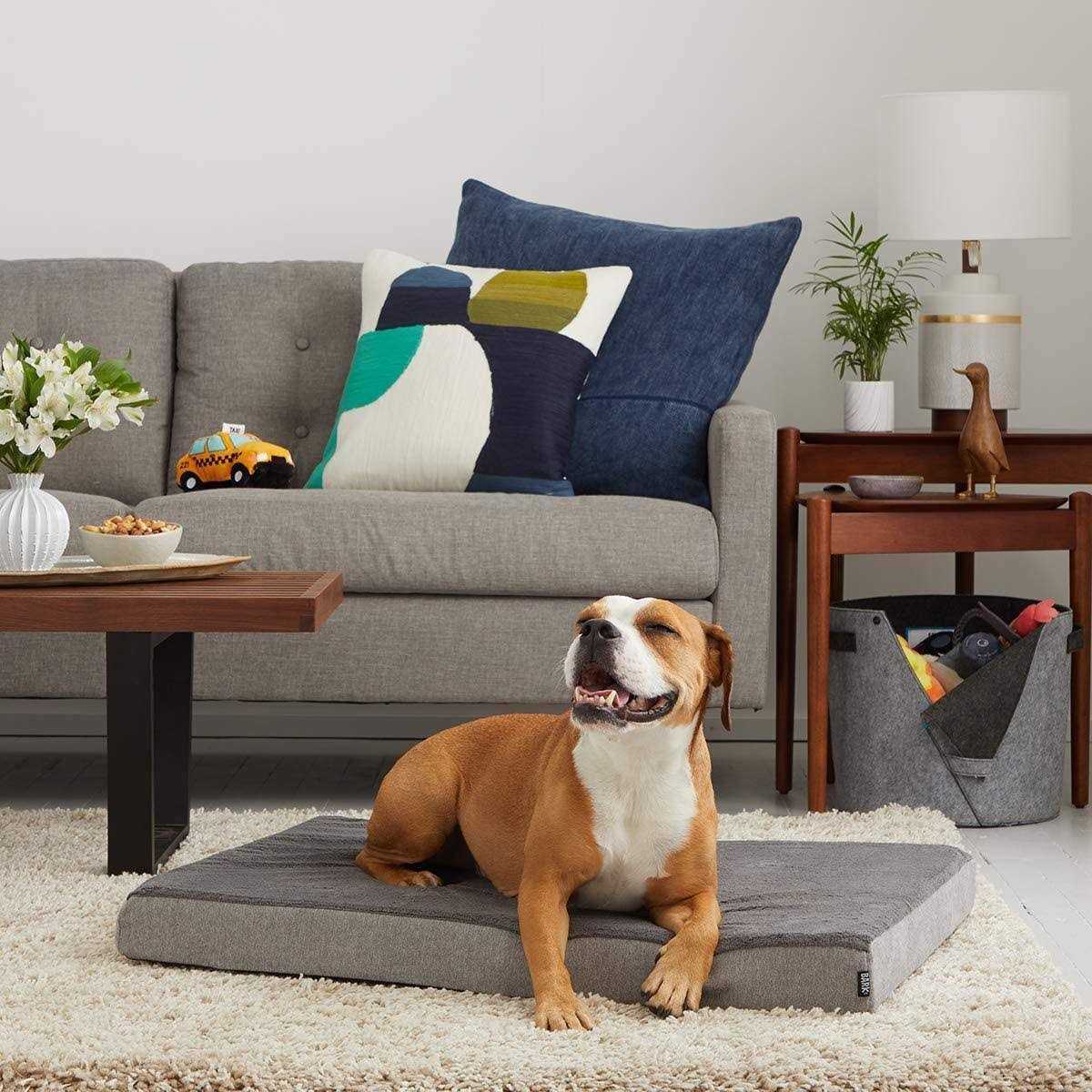 Barkbox Memory Foam Platform Dog Bed Plush Mattress for Orthopedic Joint Relief