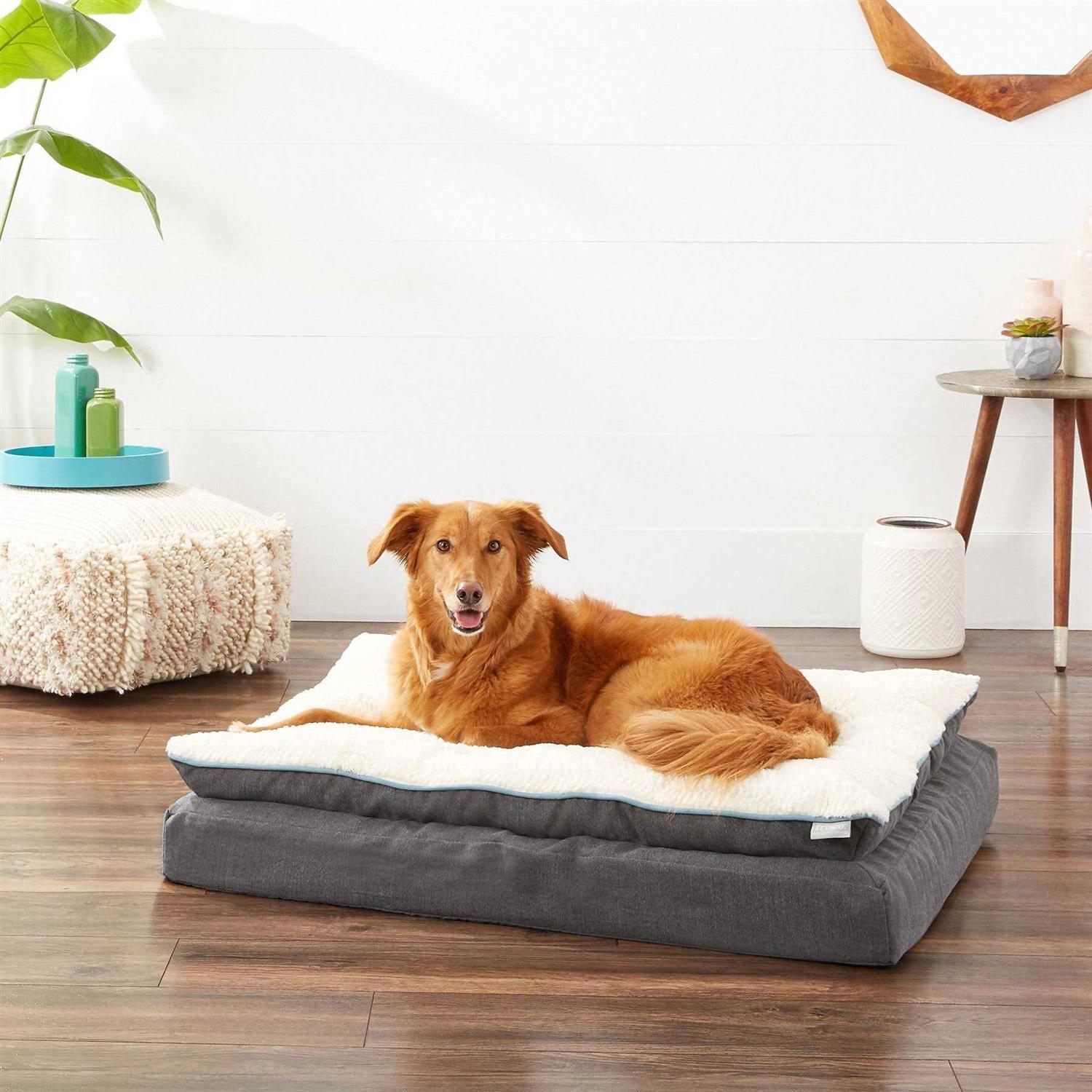 Frisco Plush Orthopedic Pillowtop Dog Bed w/Removable COVER