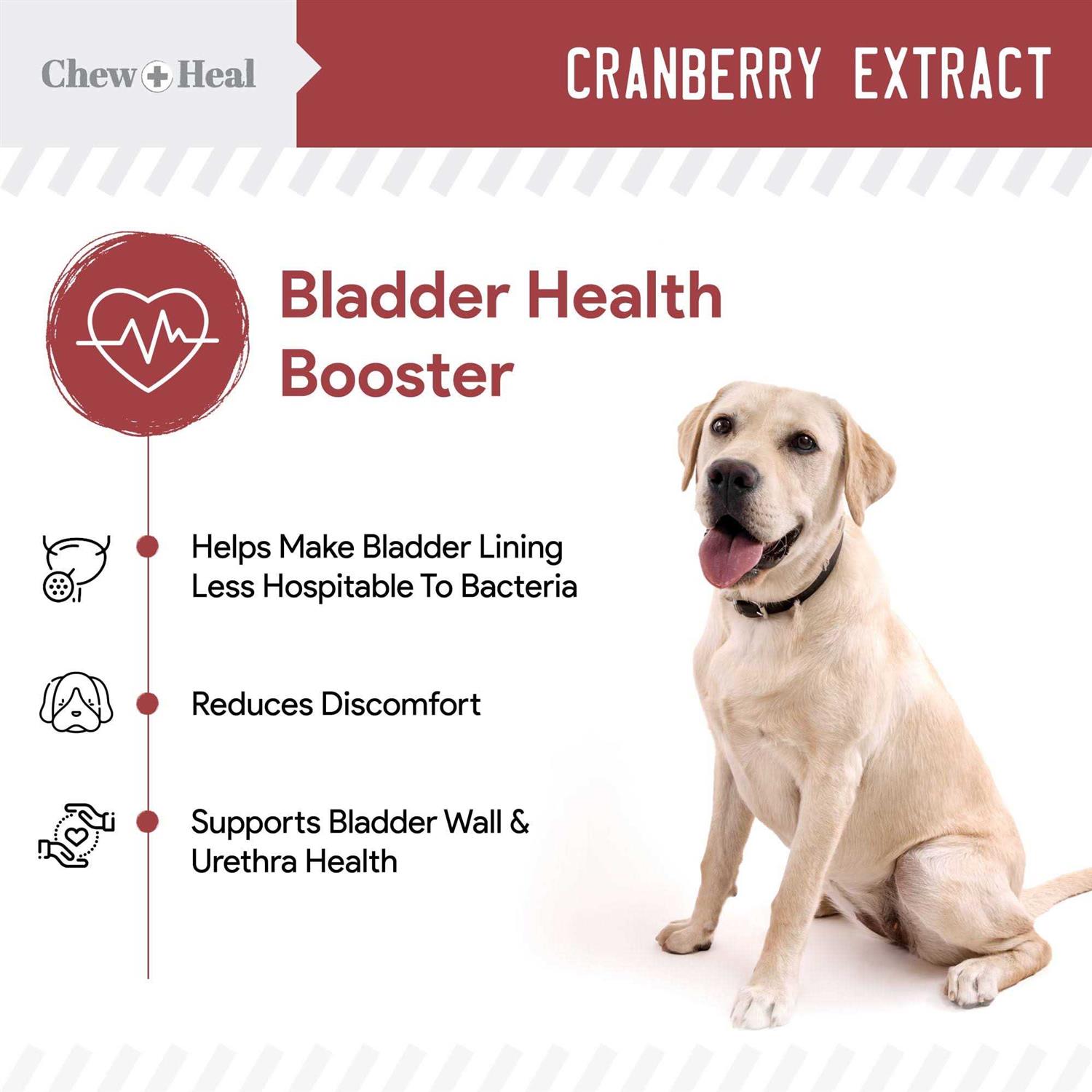 Chew + Heal UTI Treatment Cranberry Chews for Dogs