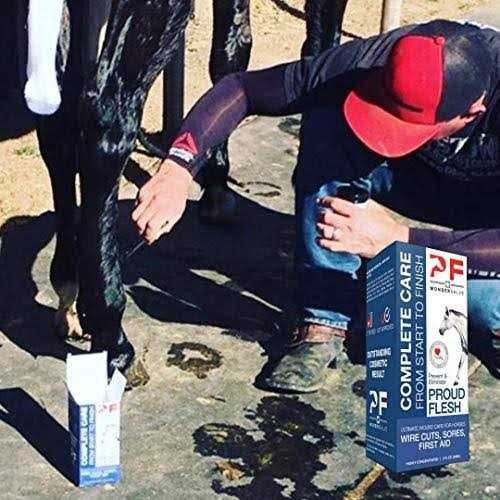 PF Wonder Salve Equine Wound Paste 2 oz. Proud Flesh Treatment Veterinarian Form