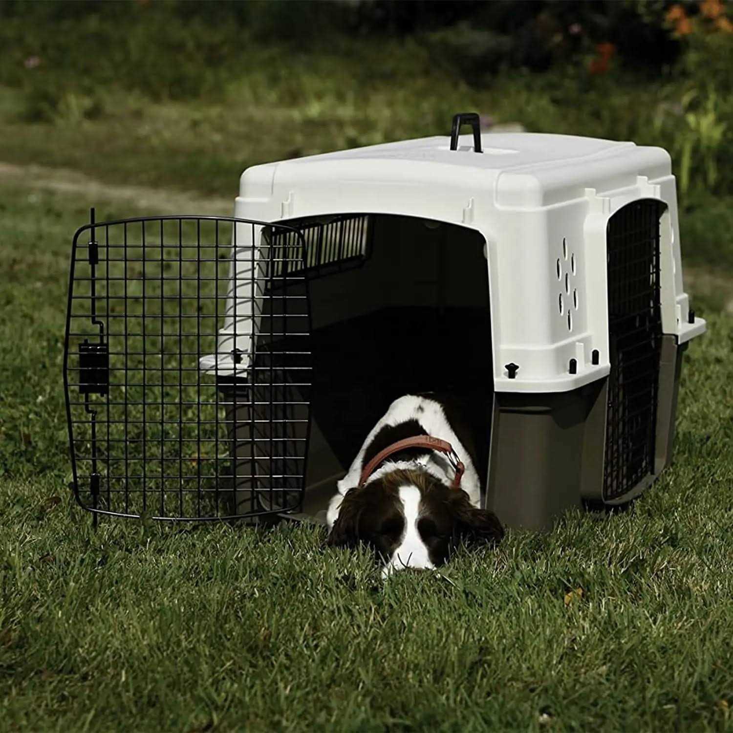 Pet Lodge Double Door Plastic Crate