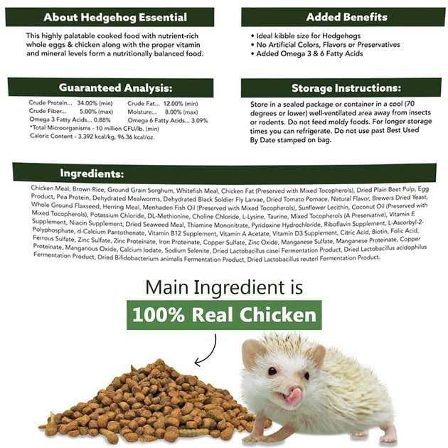 Exotic Nutrition Hedgehog Essential
